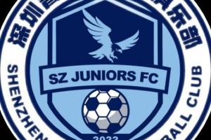 保级生死战！深圳青年人官方：中甲末轮将开放部分现场观赛名额